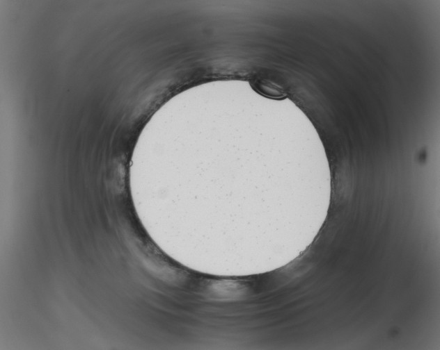 X0000116480183201001061128