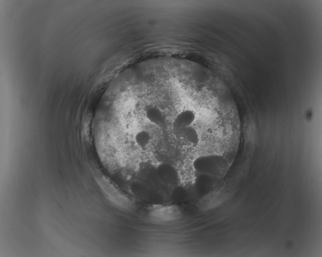 X0000116480185201001061128