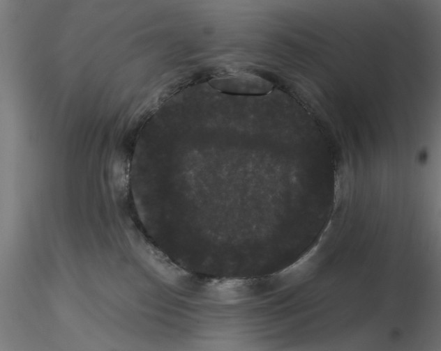 X0000116480186201001061128