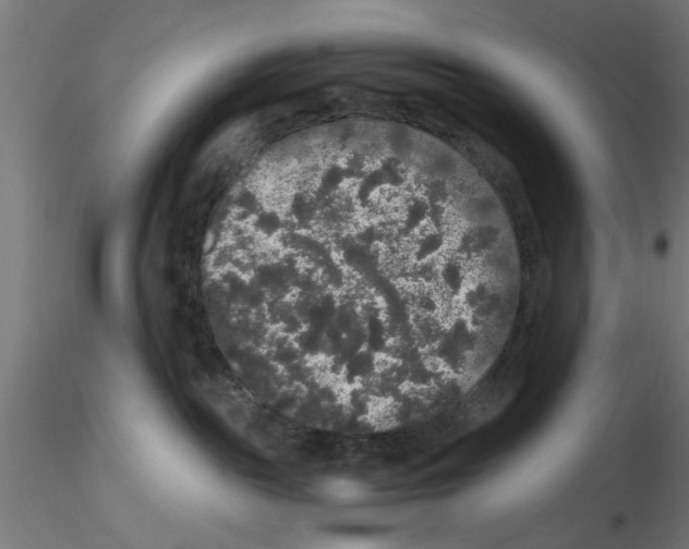 X0000116480189201001061128