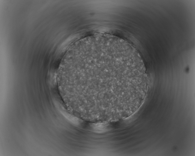 X0000116480191201001061128