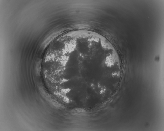 X0000116480194201001061127