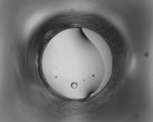 X0000116480195201001061127