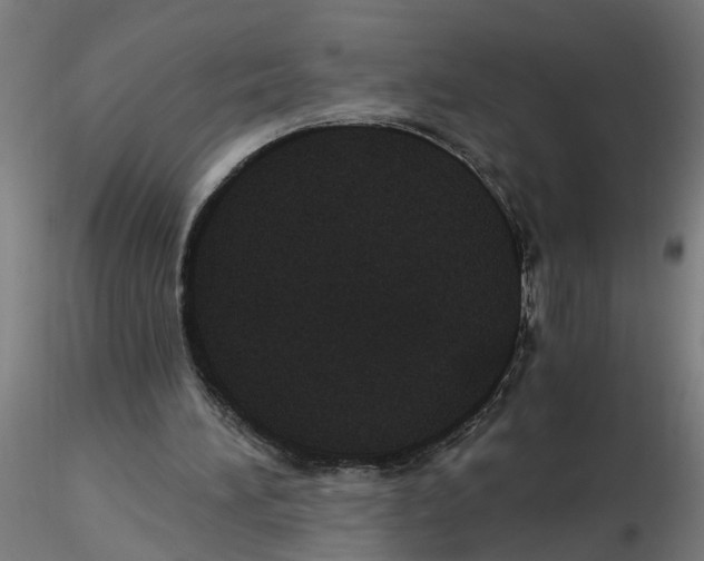 X0000116480196201001061127