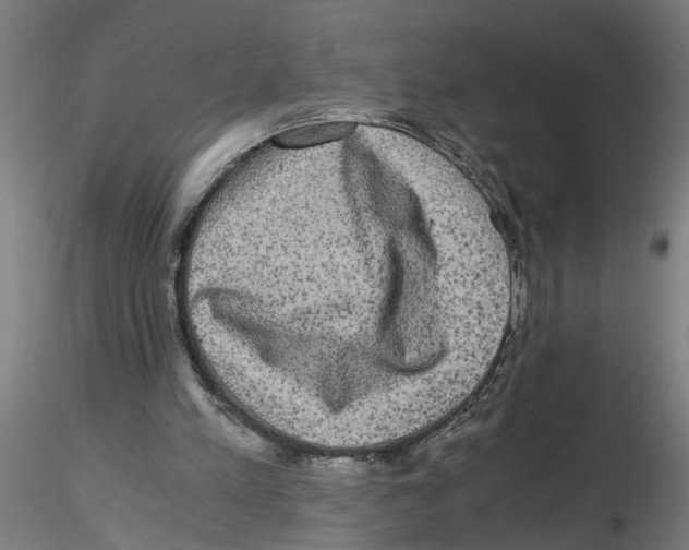 X0000116480197201001061127