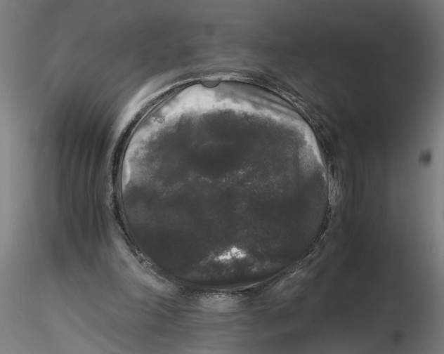 X0000116480198201001061127