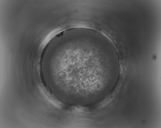 X0000116480199201001061127