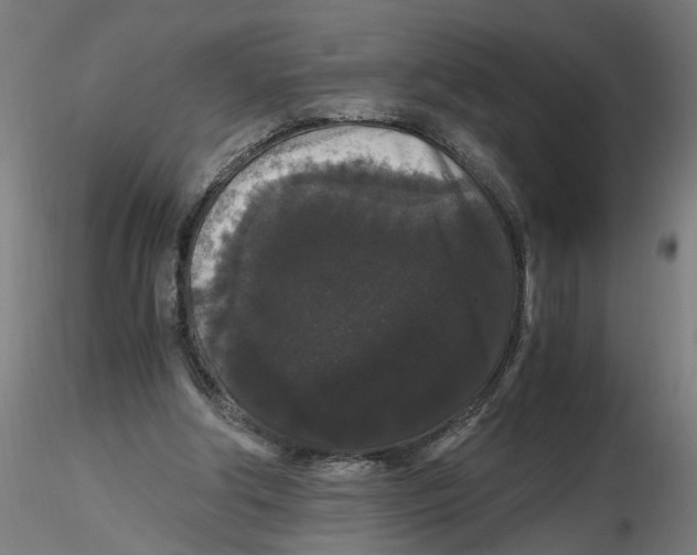 X0000116480202201001061127