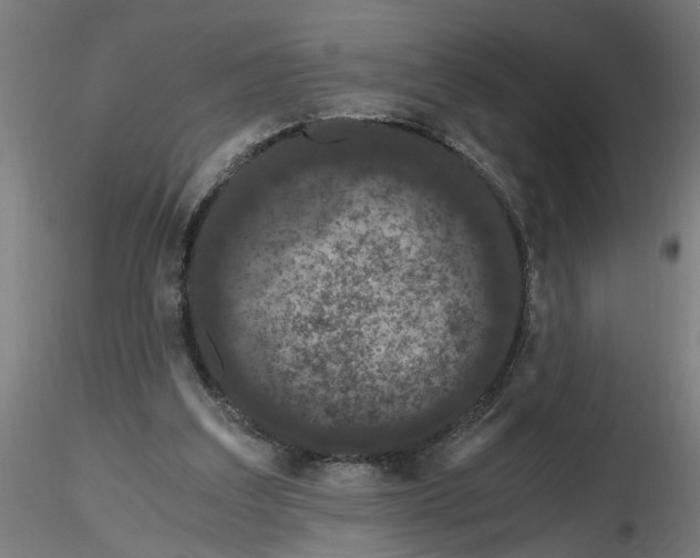 X0000116480203201001061127