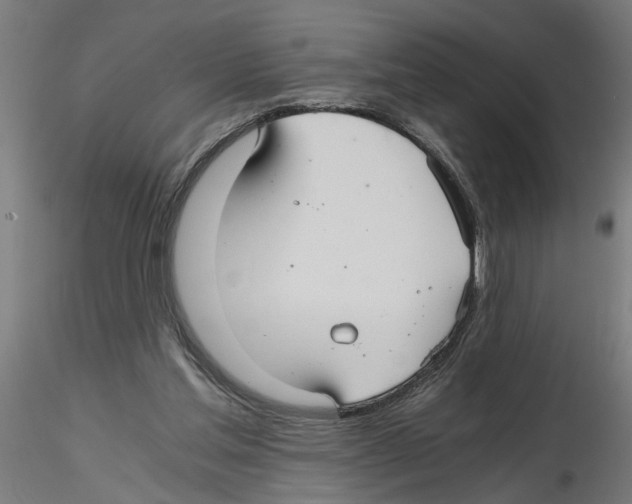 X0000116480205201001061127