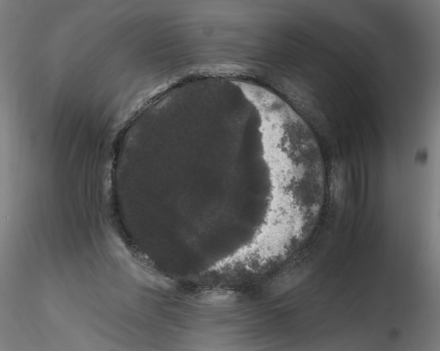 X0000116480206201001061127