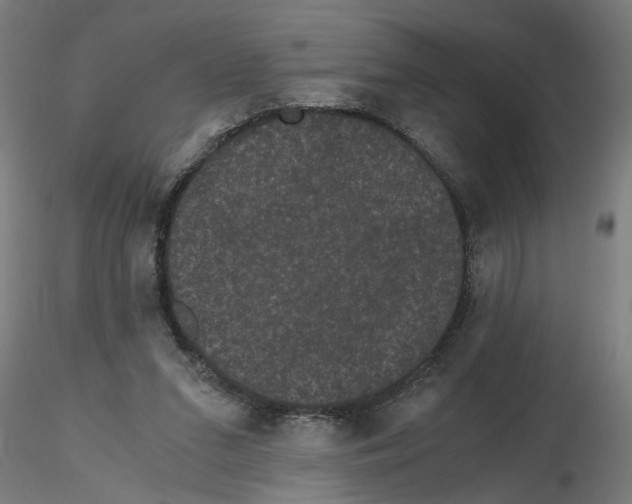 X0000116480207201001061127