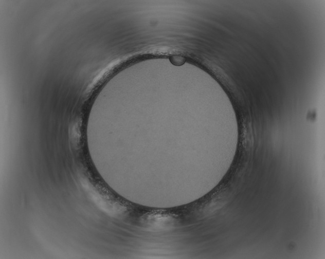 X0000116480208201001061127