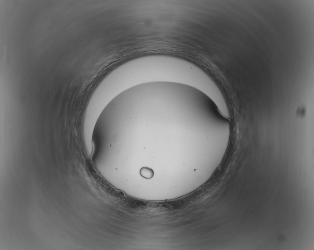 X0000116480209201001061127