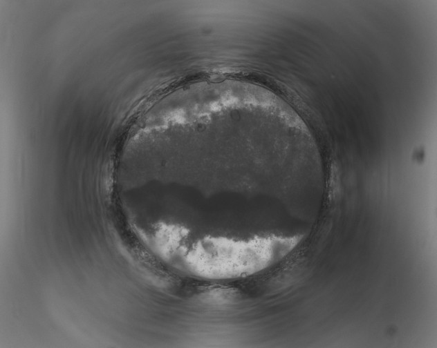 X0000116480210201001061127