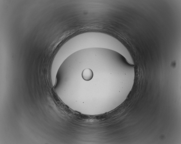 X0000116480212201001061127