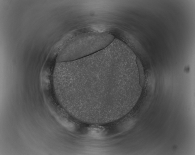 X0000116480215201001061127