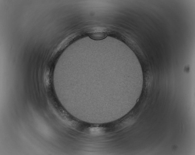 X0000116480216201001061127