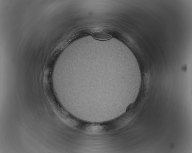 X0000116480217201001061127