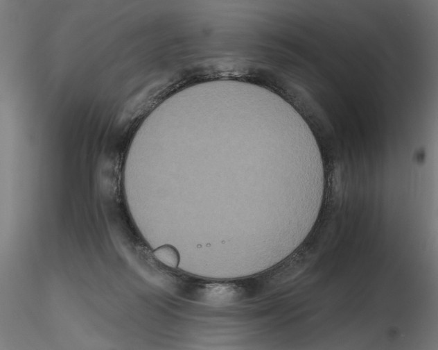 X0000116480218201001061127