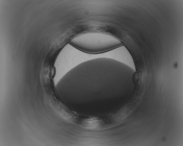 X0000116480219201001061127