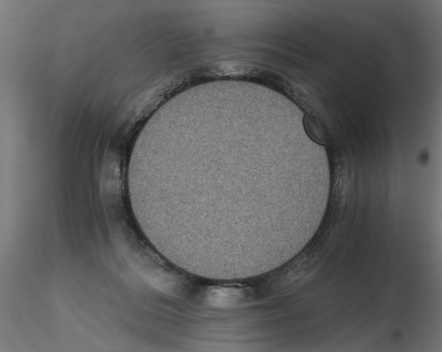 X0000116480220201001061127