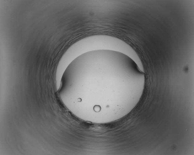 X0000116480221201001061127