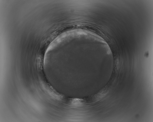 X0000116480222201001061127