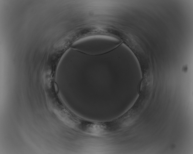 X0000116480223201001061127