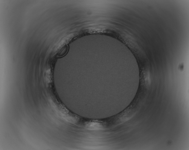 X0000116480224201001061127