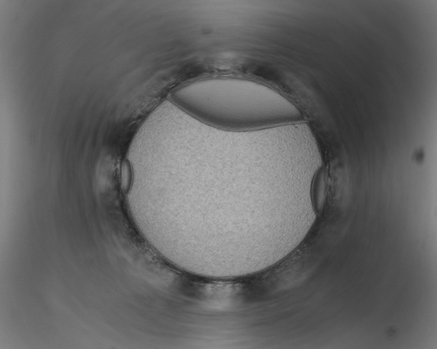 X0000116480225201001061127