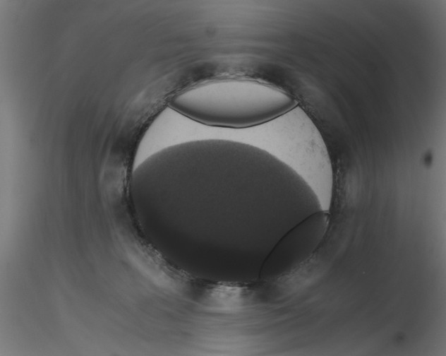 X0000116480227201001061127