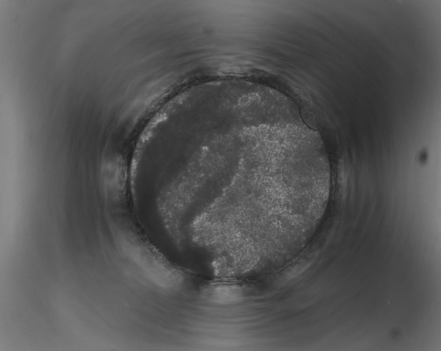 X0000116480228201001061127