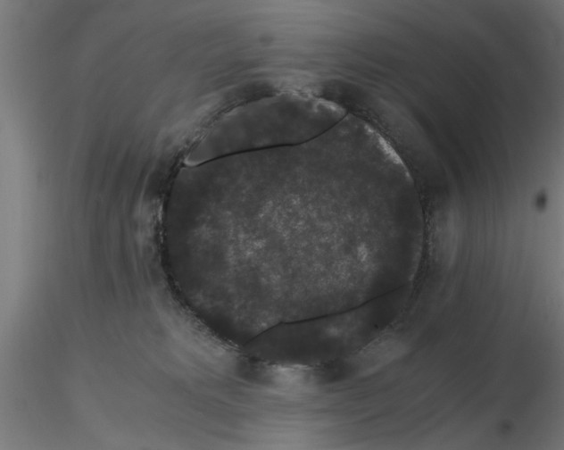 X0000116480229201001061127