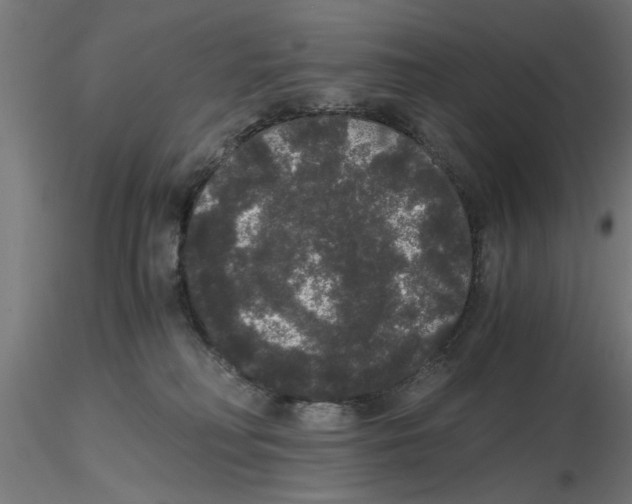 X0000116480230201001061127