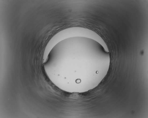 X0000116480231201001061127