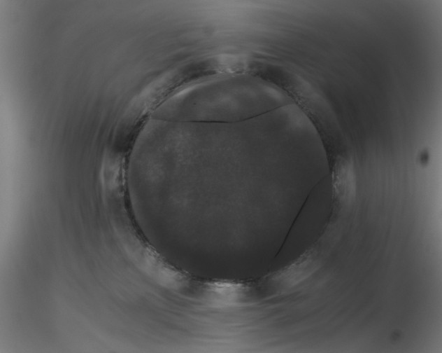 X0000116480233201001061126