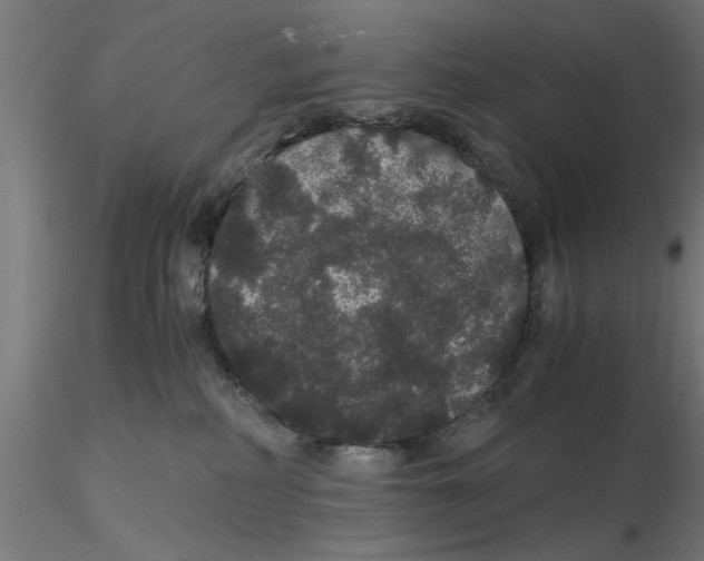 X0000116480234201001061126