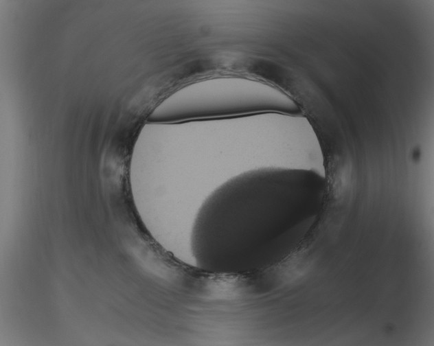 X0000116480235201001061126