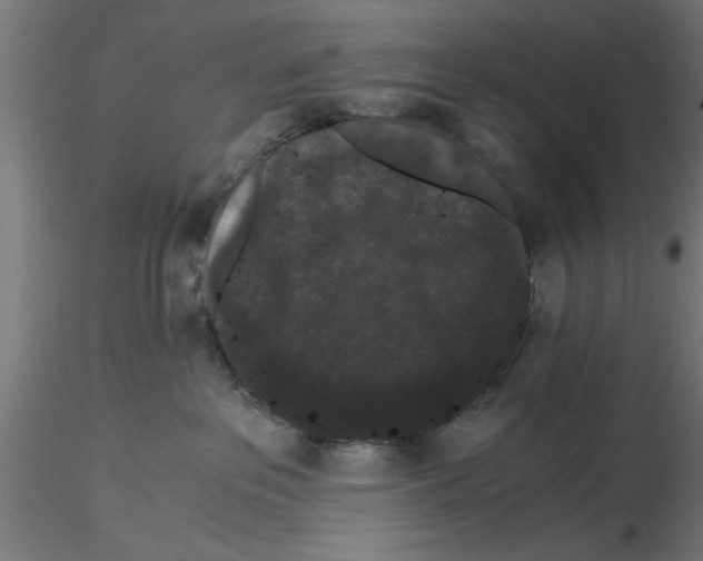 X0000116480237201001061126