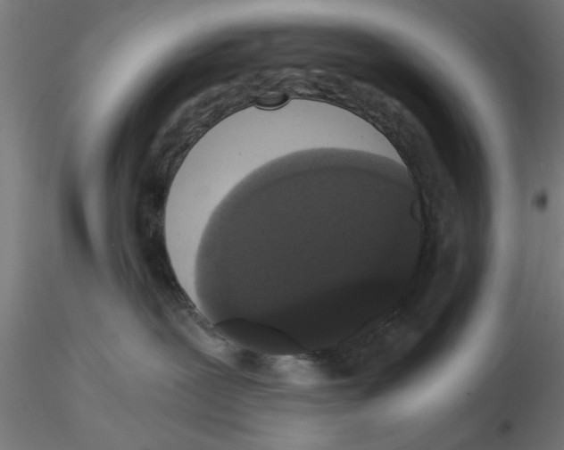 X0000116480239201001061126