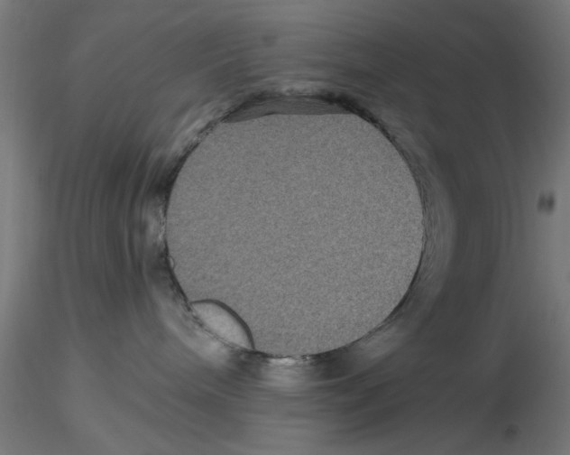 X0000116480240201001061126