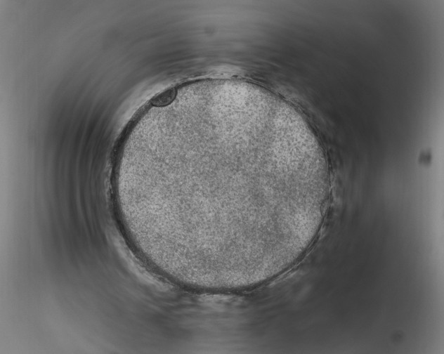 X0000116480242201001061126