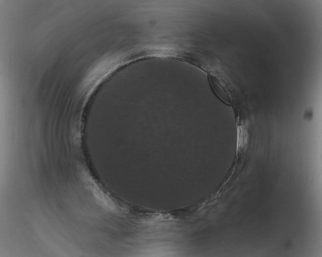 X0000116480243201001061126