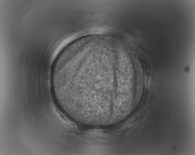 X0000116480244201001061126