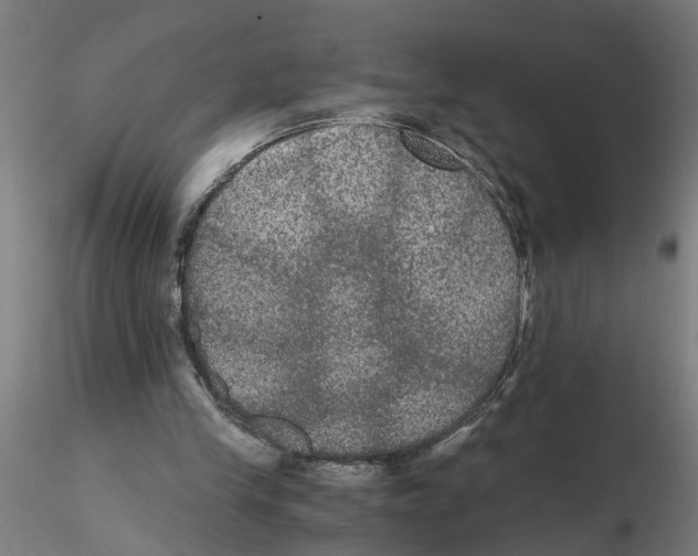 X0000116480245201001061126