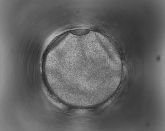 X0000116480246201001061126