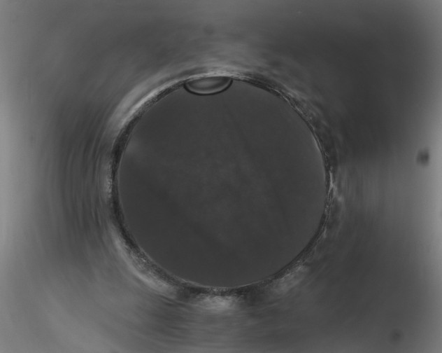 X0000116480247201001061126