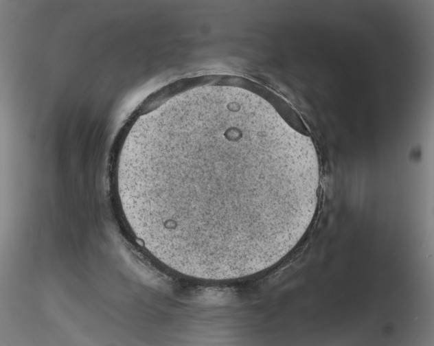 X0000116480248201001061126