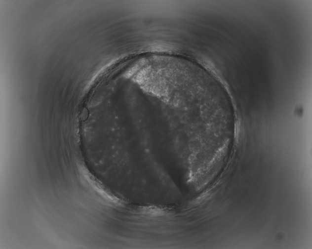 X0000116480249201001061126